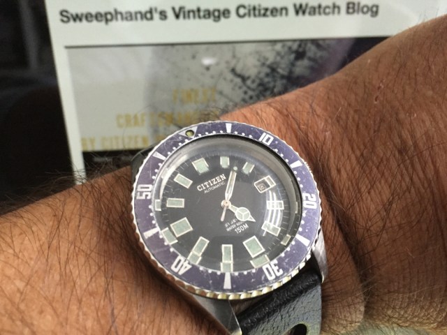 52-0110bluebezelbert_zpsh6muorey